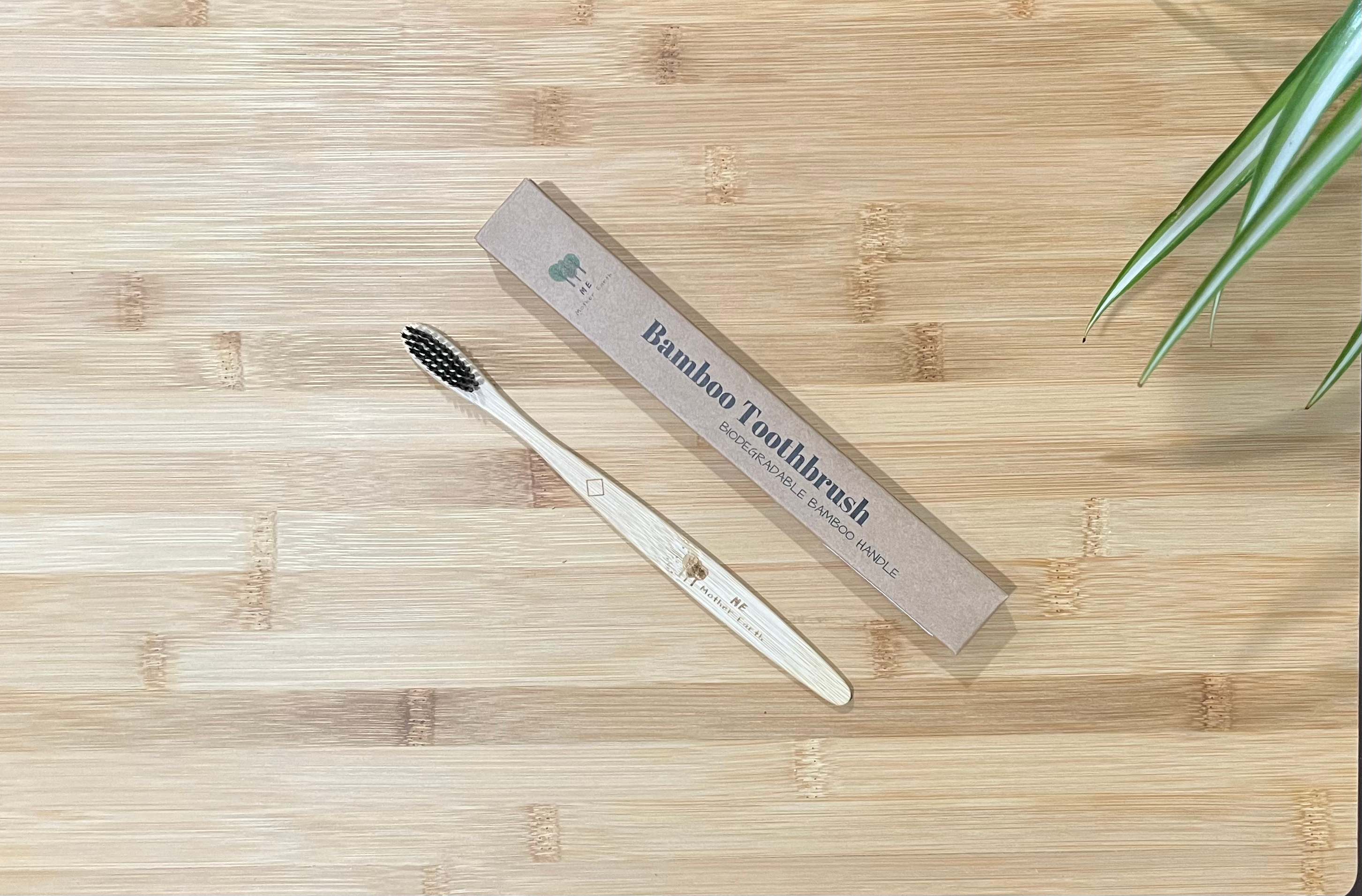 Me Mother Earth Charcoal Toothbrush
